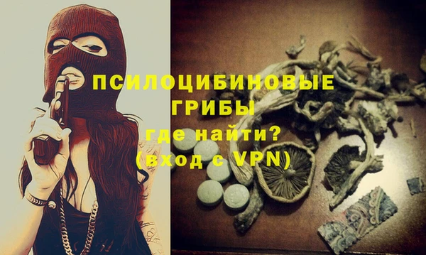 шишки Ладушкин