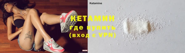 шишки Ладушкин