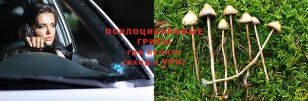 шишки Ладушкин