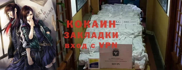 шишки Ладушкин