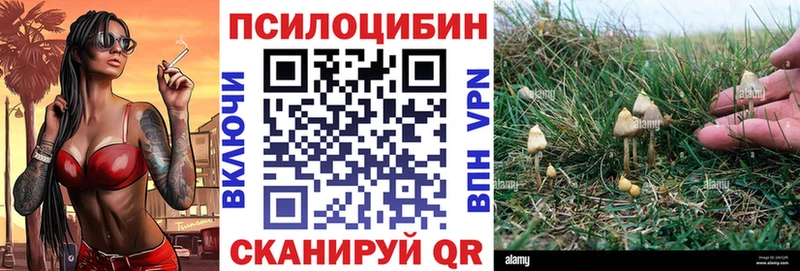 Галлюциногенные грибы Psilocybine cubensis  Купить где  Белая Калитва 